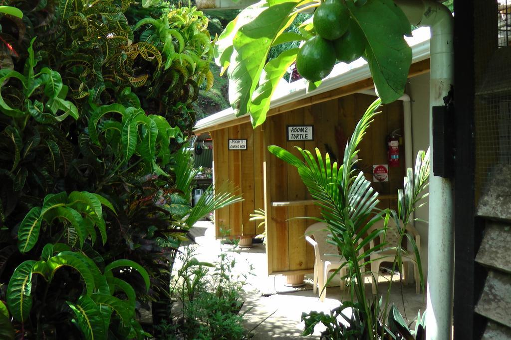 Gecko Lodge Fiji Savusavu Exterior photo