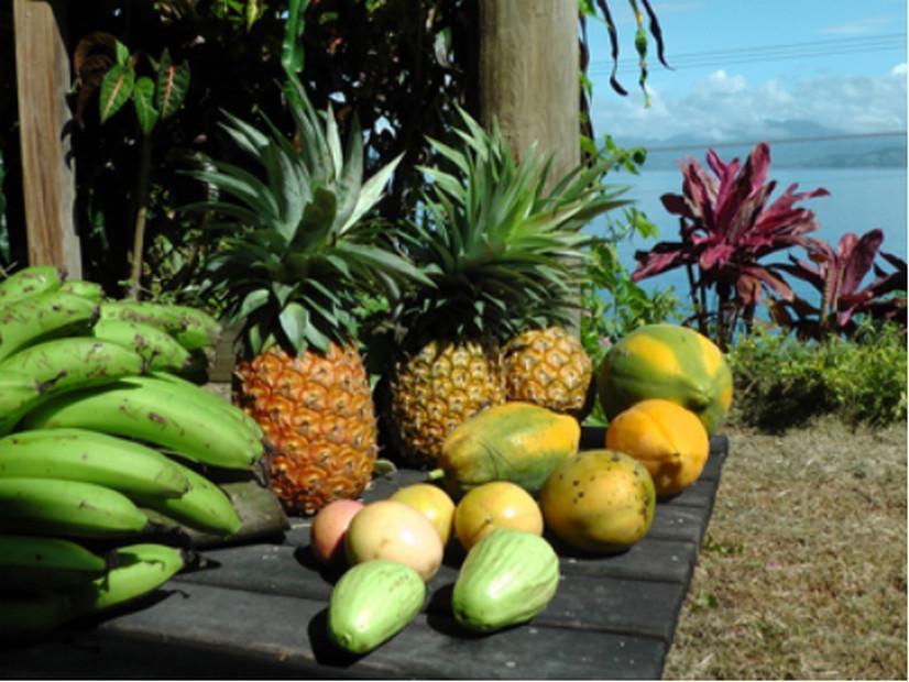 Gecko Lodge Fiji Savusavu Exterior photo