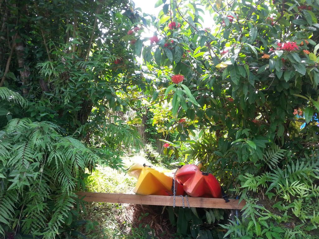 Gecko Lodge Fiji Savusavu Exterior photo