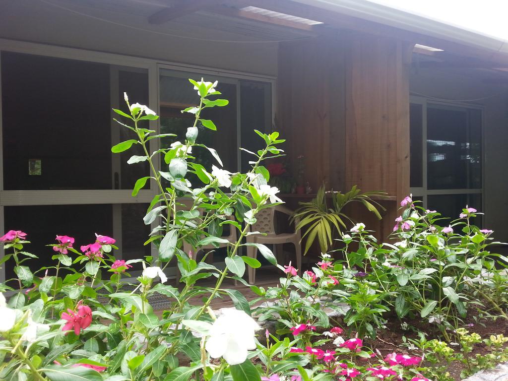 Gecko Lodge Fiji Savusavu Exterior photo